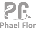 Phael Flor | Charte graphique - Application web - Site web